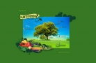 website design