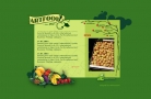 website design