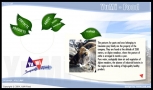 website design