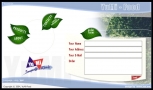 website design